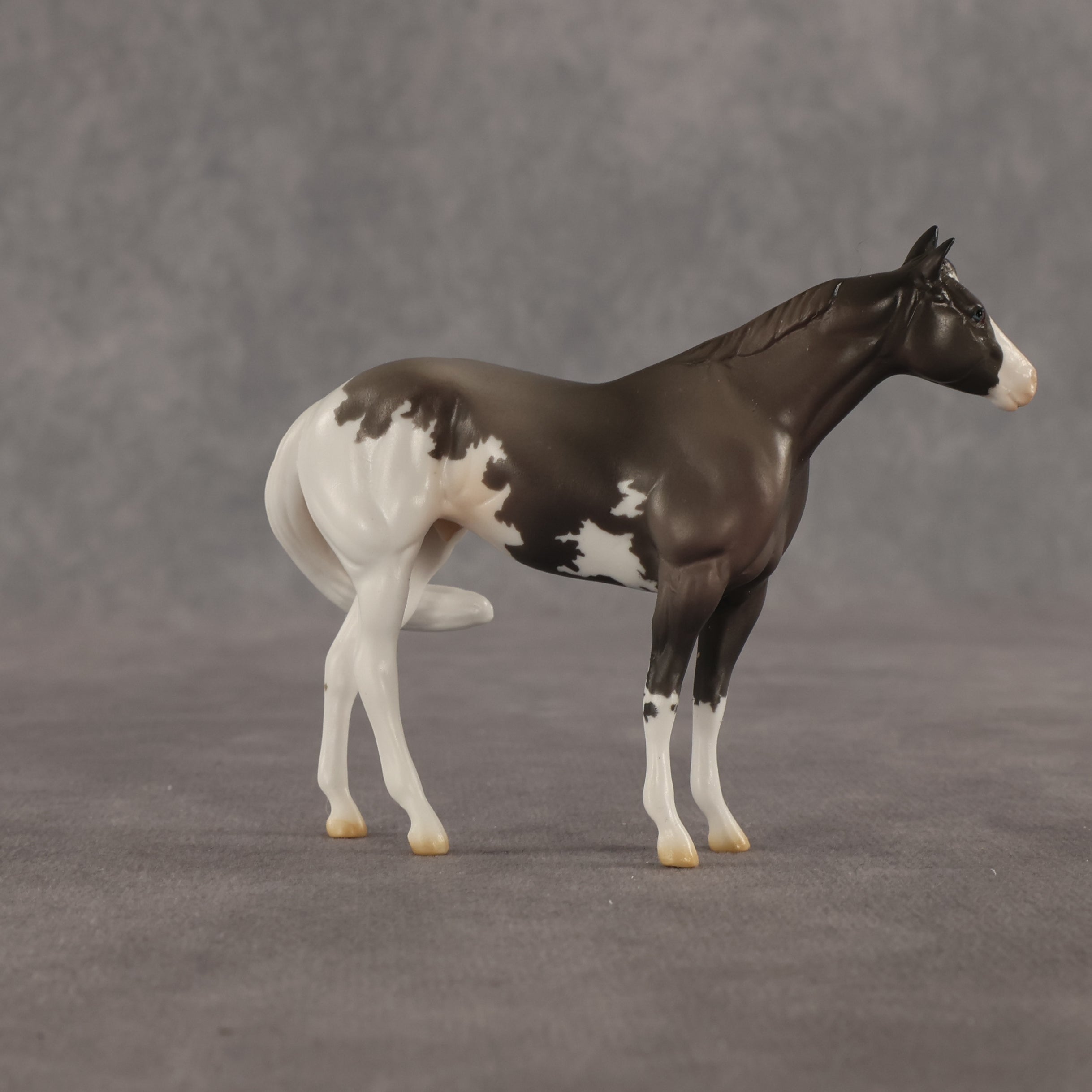 Admiral OOAK FCM Chip Stock Horse by Jess Hamill SHCF26