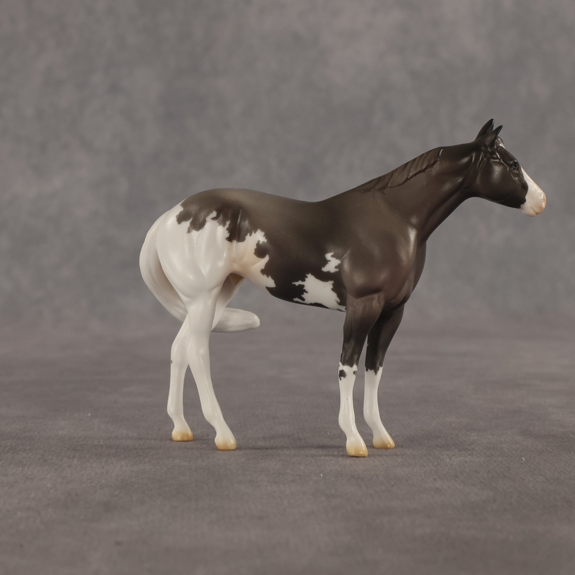 Admiral OOAK FCM Chip Stock Horse by Jess Hamill SHCF26