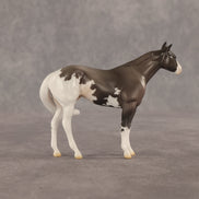 Admiral OOAK FCM Chip Stock Horse by Jess Hamill SHCF26