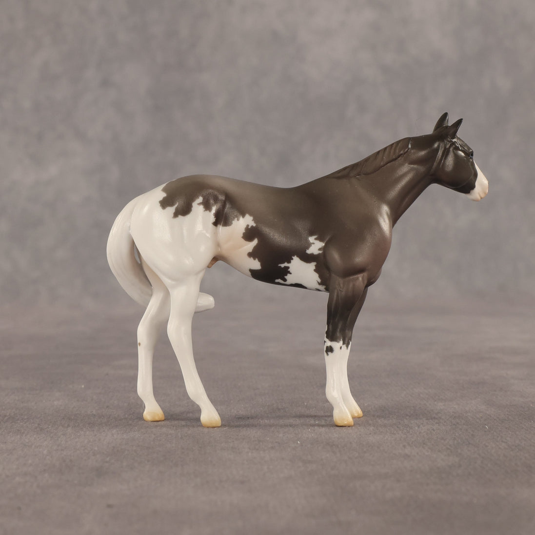 Admiral OOAK FCM Chip Stock Horse by Jess Hamill SHCF26