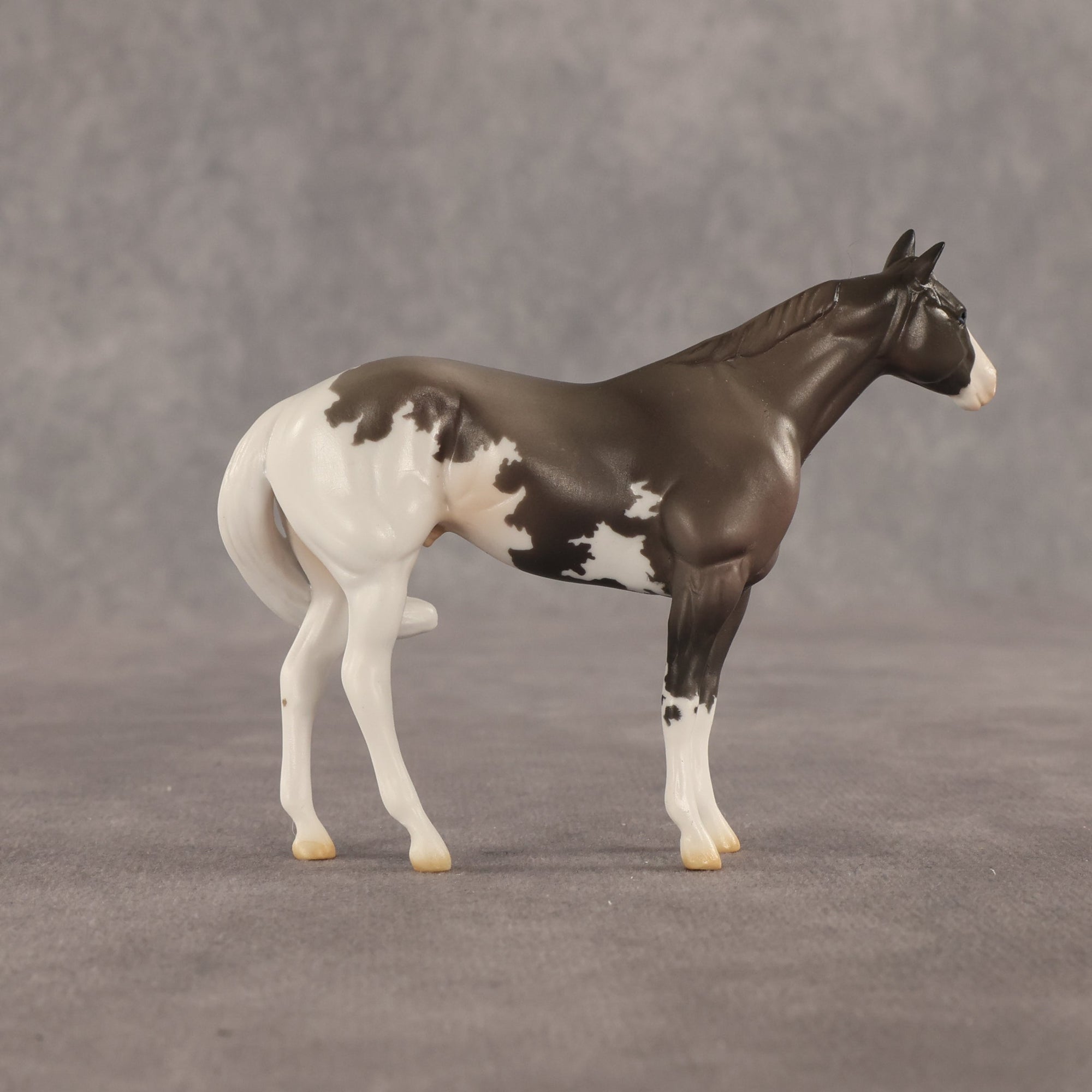 Admiral OOAK FCM Chip Stock Horse by Jess Hamill SHCF26