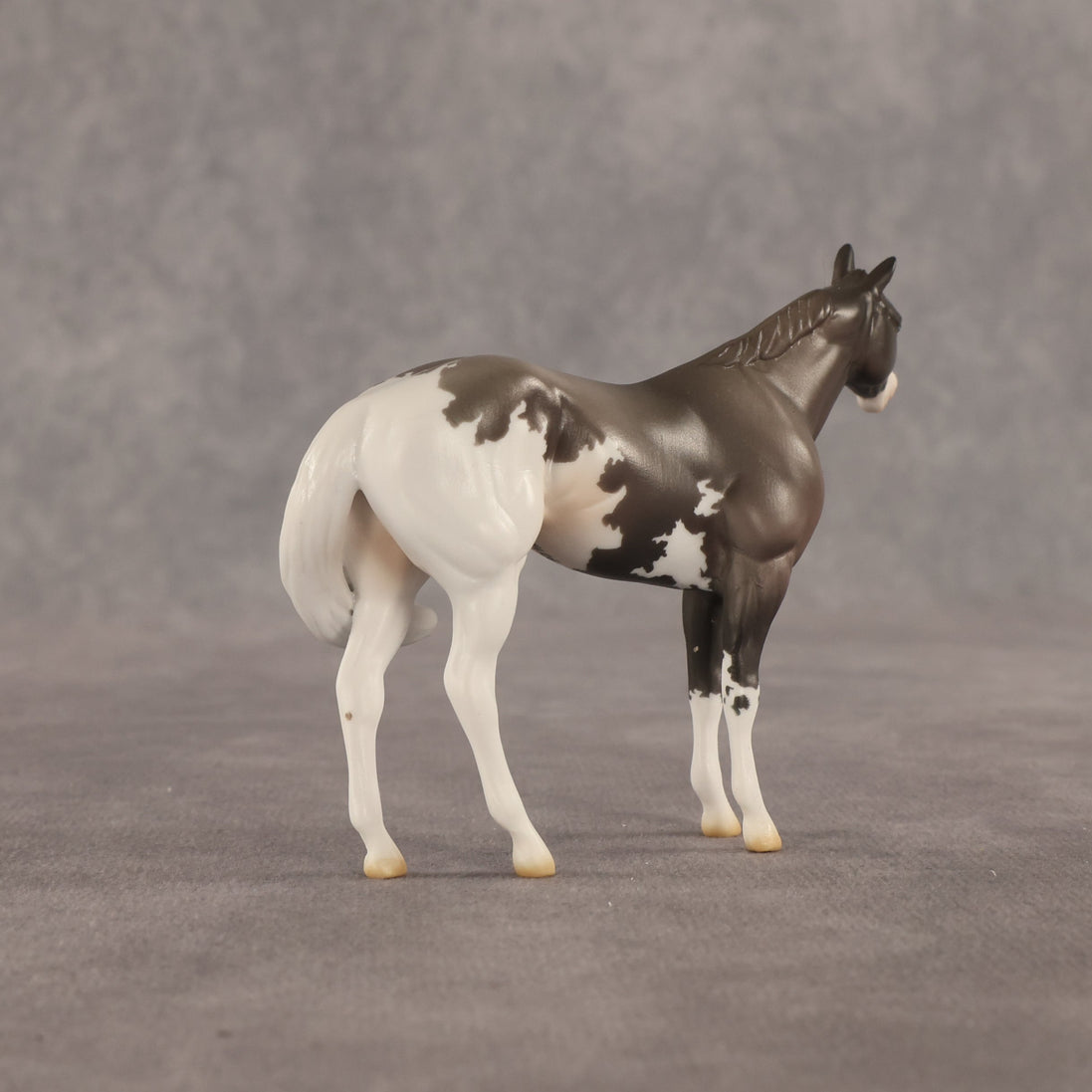Admiral OOAK FCM Chip Stock Horse by Jess Hamill SHCF26