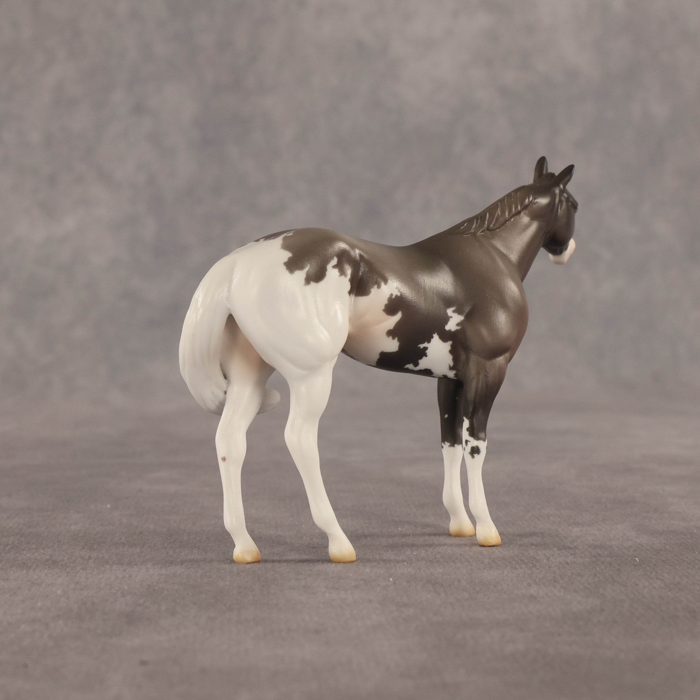 Admiral OOAK FCM Chip Stock Horse by Jess Hamill SHCF26