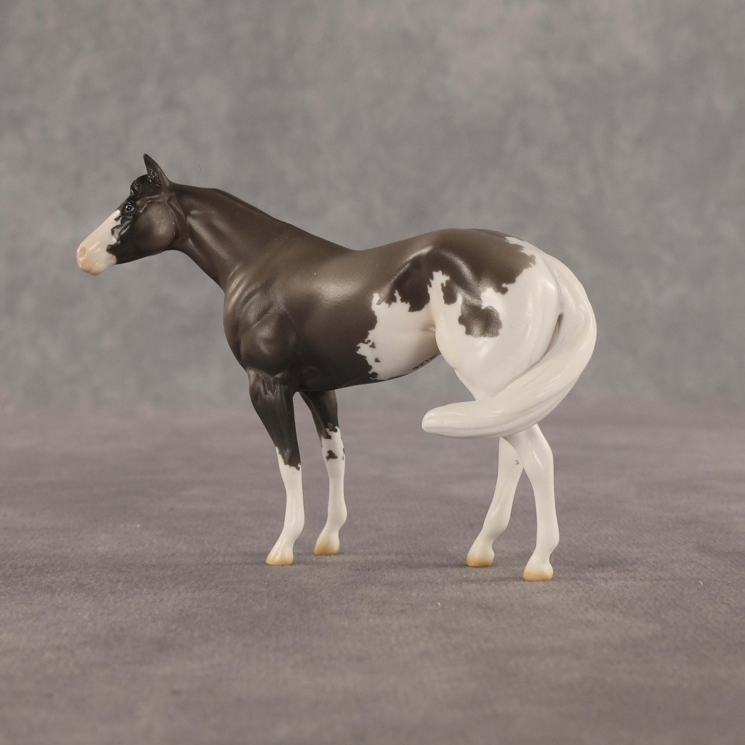 Admiral OOAK FCM Chip Stock Horse by Jess Hamill SHCF26