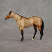 Afterdream LE-10 FCM Chip Stock Horse by Ellen Robbins YP26