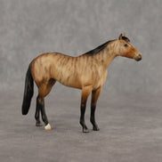 Afterdream LE-10 FCM Chip Stock Horse by Ellen Robbins YP26