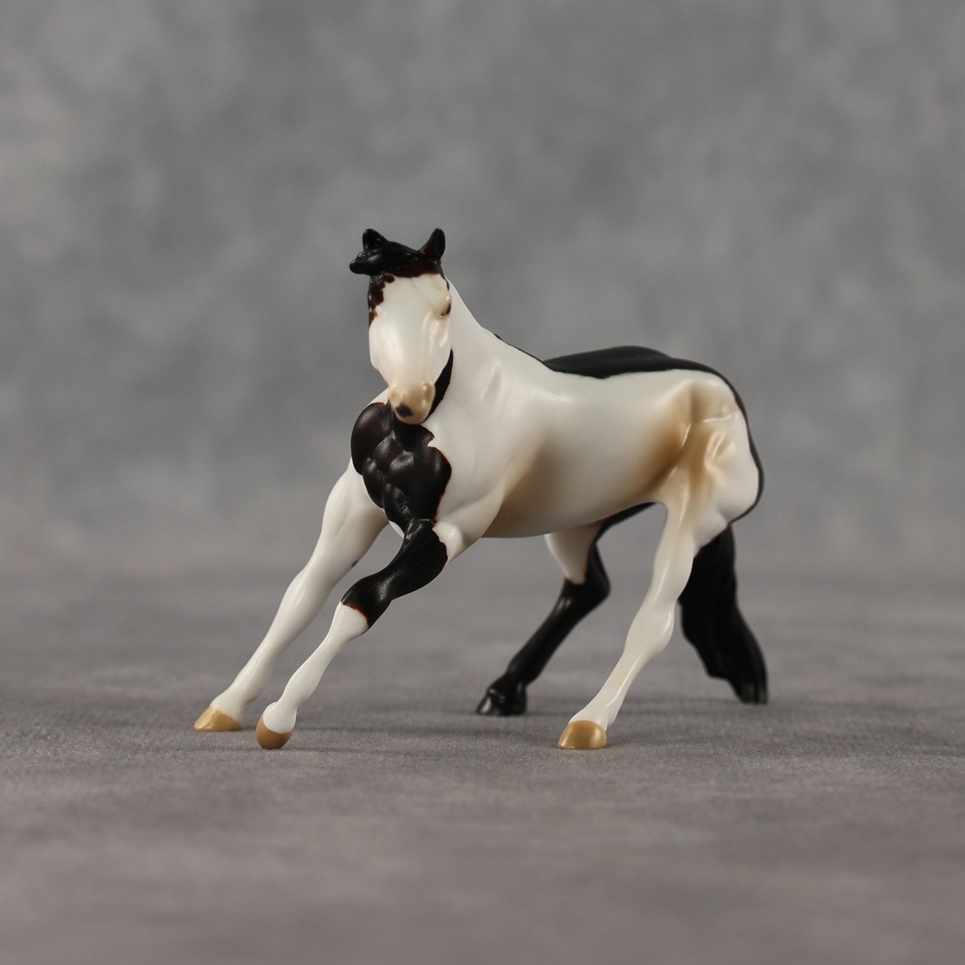 Agora LE-5 Chip Cutting Horse by Anna Rieck April $99 Chips