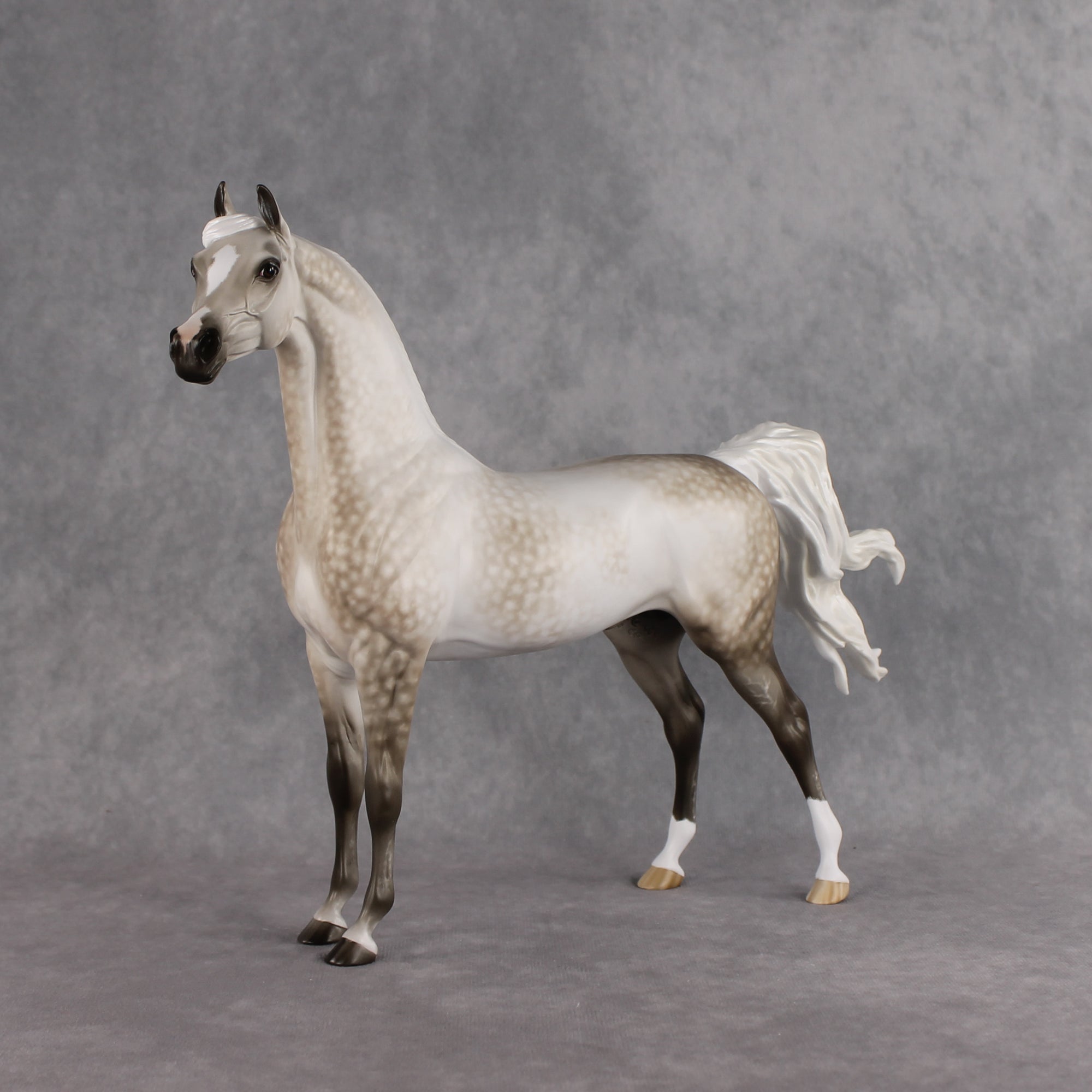 Akaw OOAK FCM Arabian Stallion by Sheryl Leisure Best Offer 8.11.2026
