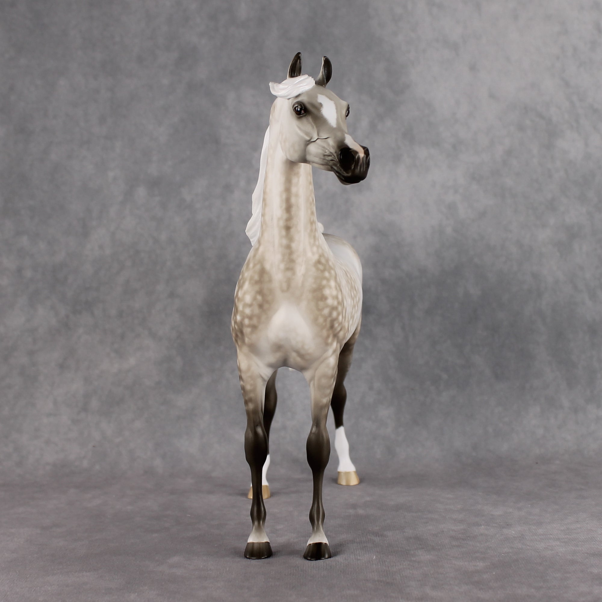 Akaw OOAK FCM Arabian Stallion by Sheryl Leisure Best Offer 8.11.2026