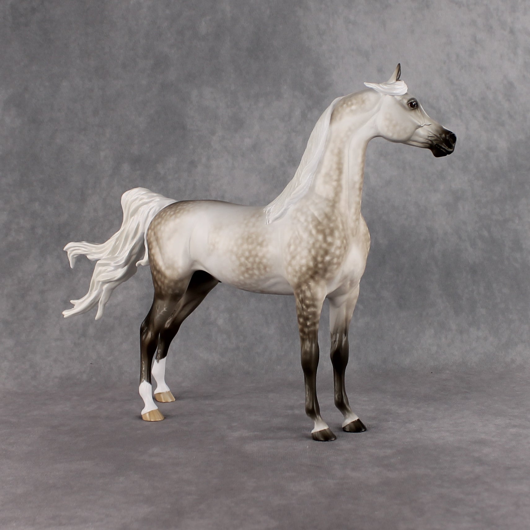 Akaw OOAK FCM Arabian Stallion by Sheryl Leisure Best Offer 8.11.2026