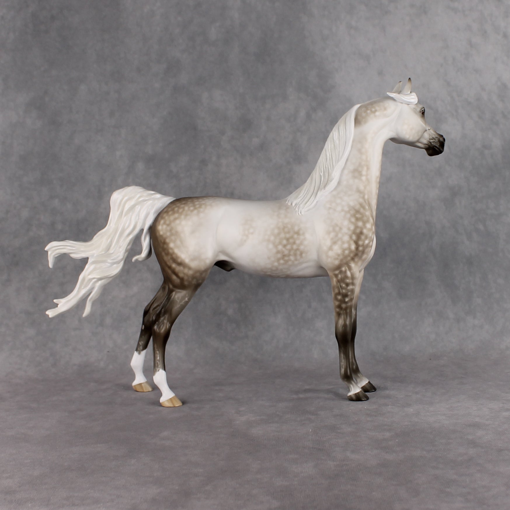 Akaw OOAK FCM Arabian Stallion by Sheryl Leisure Best Offer 8.11.2026