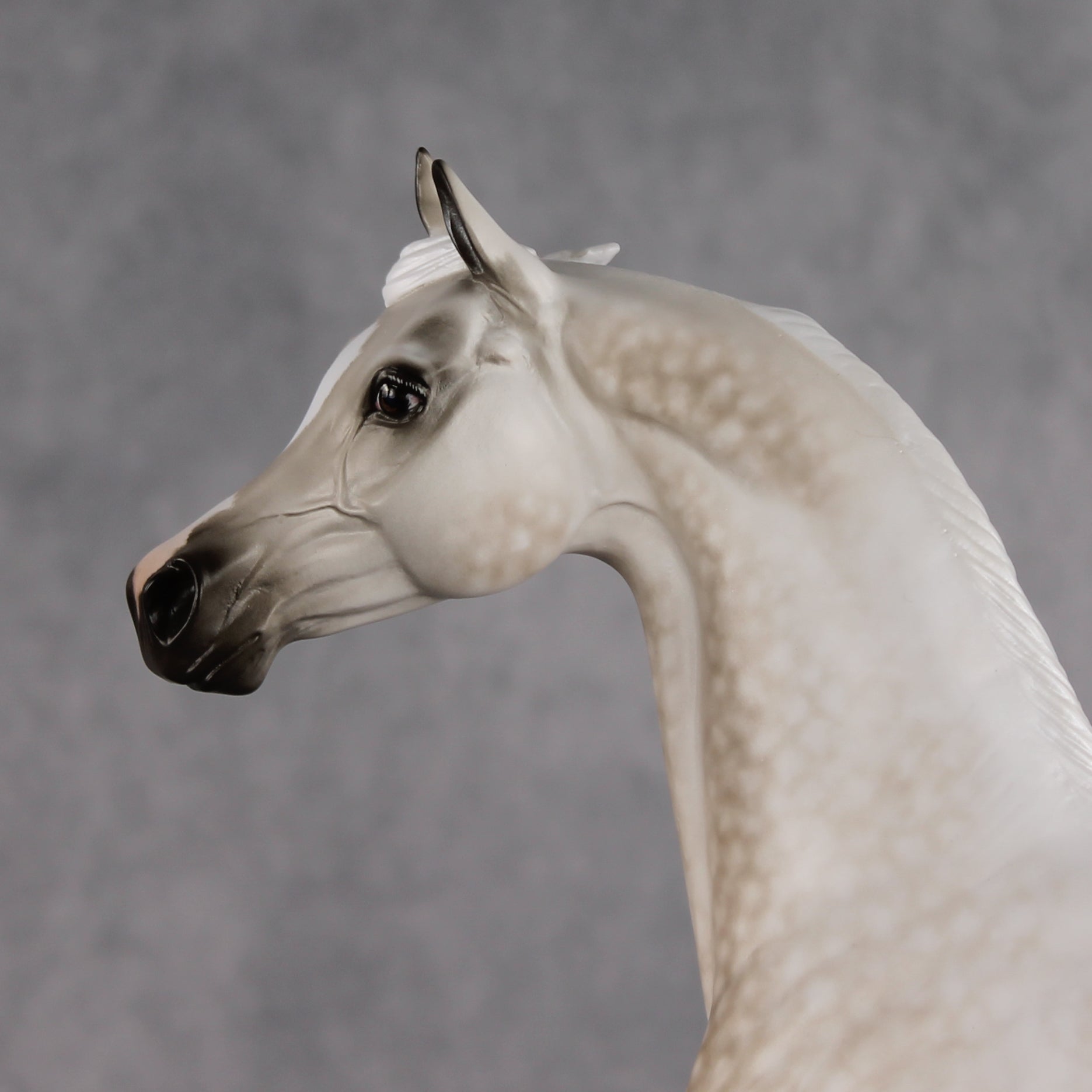Akaw OOAK FCM Arabian Stallion by Sheryl Leisure Best Offer 8.11.2026