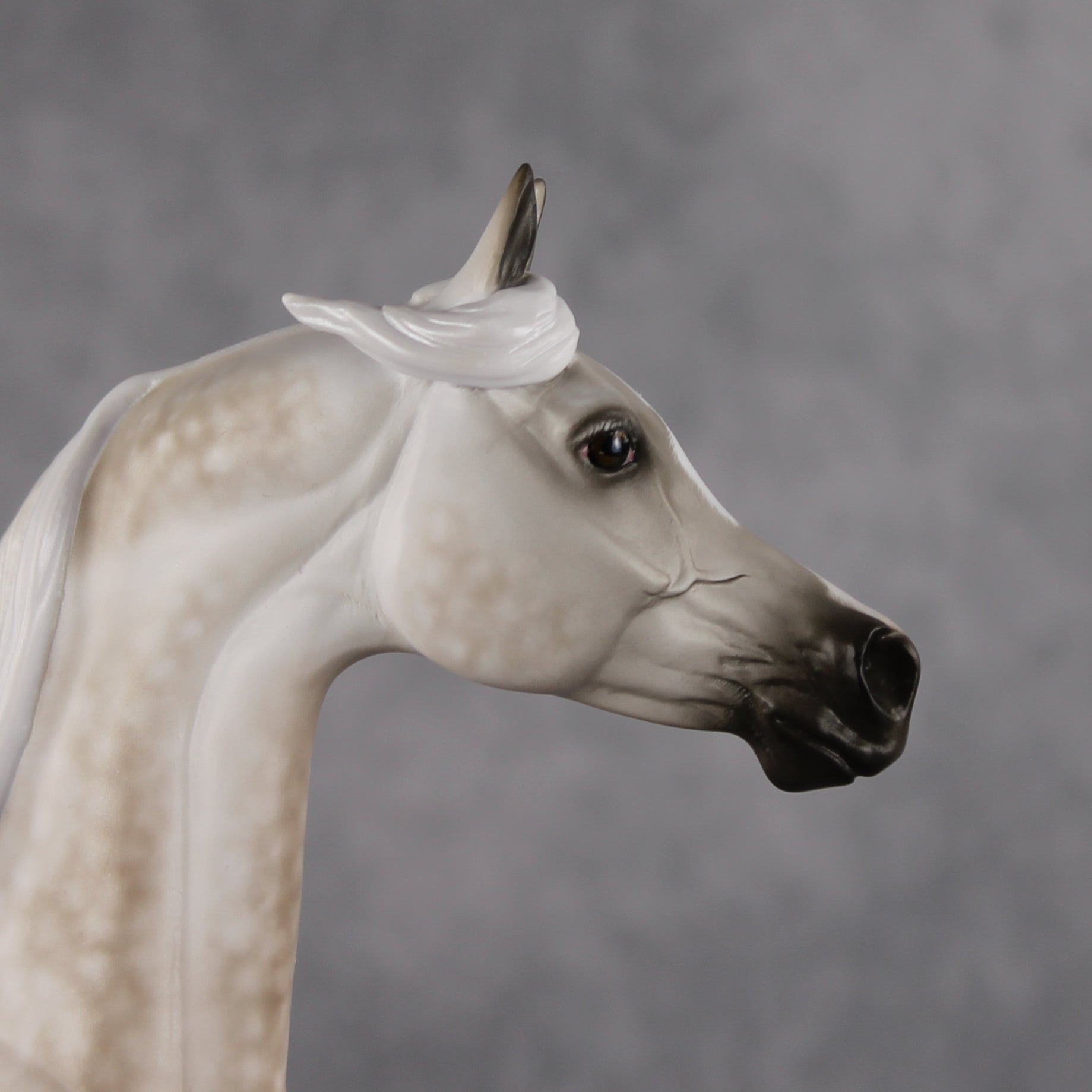 Akaw OOAK FCM Arabian Stallion by Sheryl Leisure Best Offer 8.11.2026