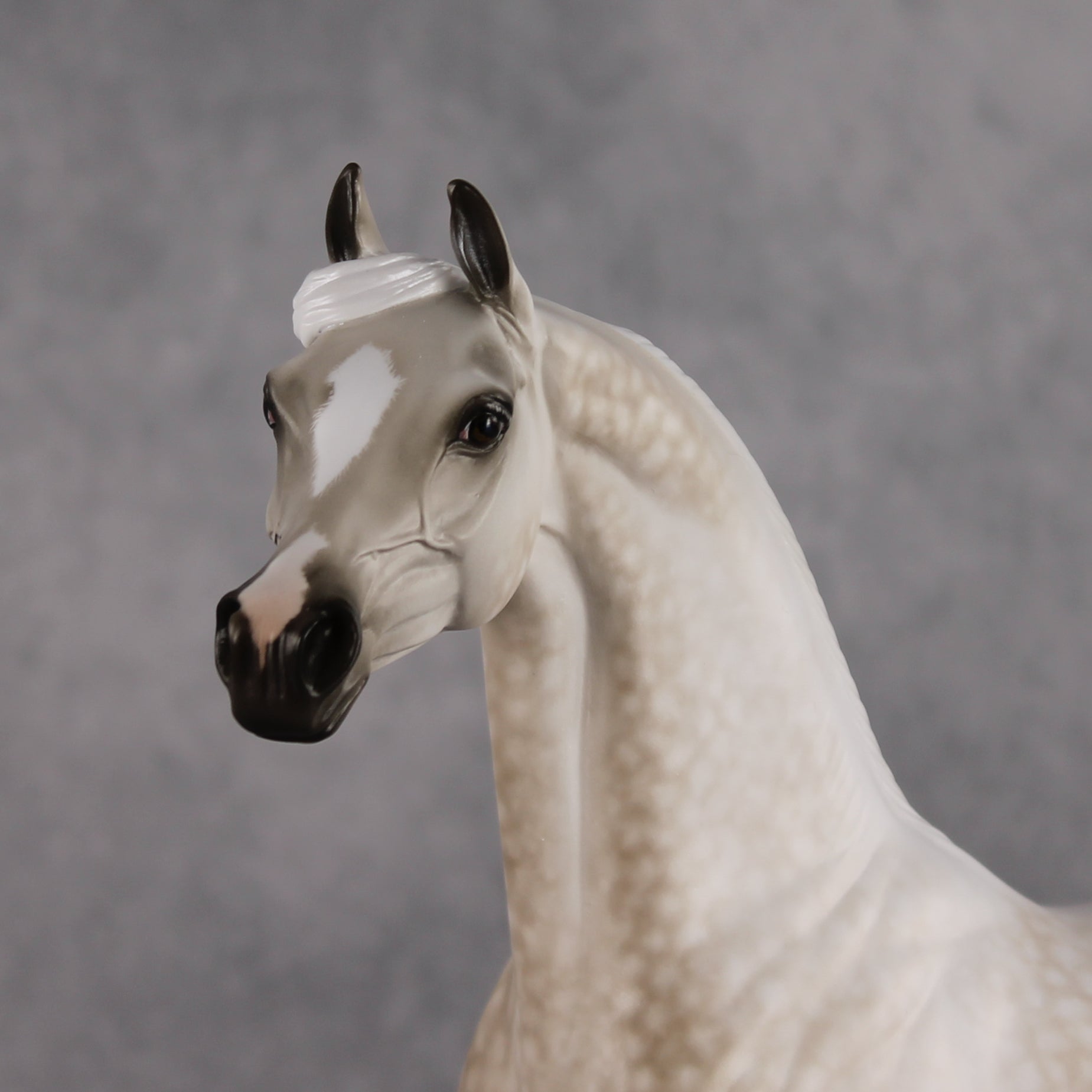 Akaw OOAK FCM Arabian Stallion by Sheryl Leisure Best Offer 8.11.2026
