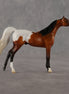 Alan OOAK Chip Arabian by Madi Wiseman LHS26