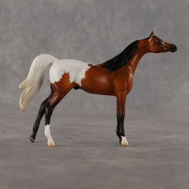 Alan OOAK Chip Arabian by Madi Wiseman LHS26