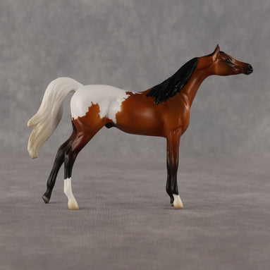Alan OOAK Chip Arabian by Madi Wiseman LHS26