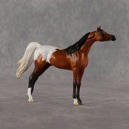 Alan OOAK Chip Arabian by Madi Wiseman LHS26
