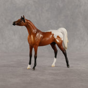 Alan OOAK Chip Arabian by Madi Wiseman LHS26