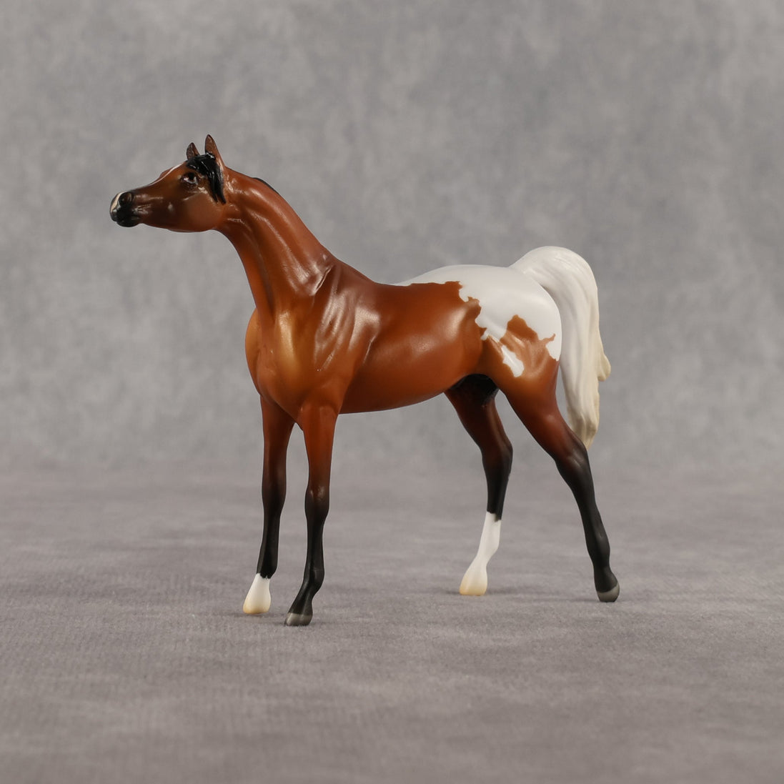 Alan OOAK Chip Arabian by Madi Wiseman LHS26
