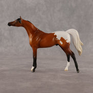 Alan OOAK Chip Arabian by Madi Wiseman LHS26