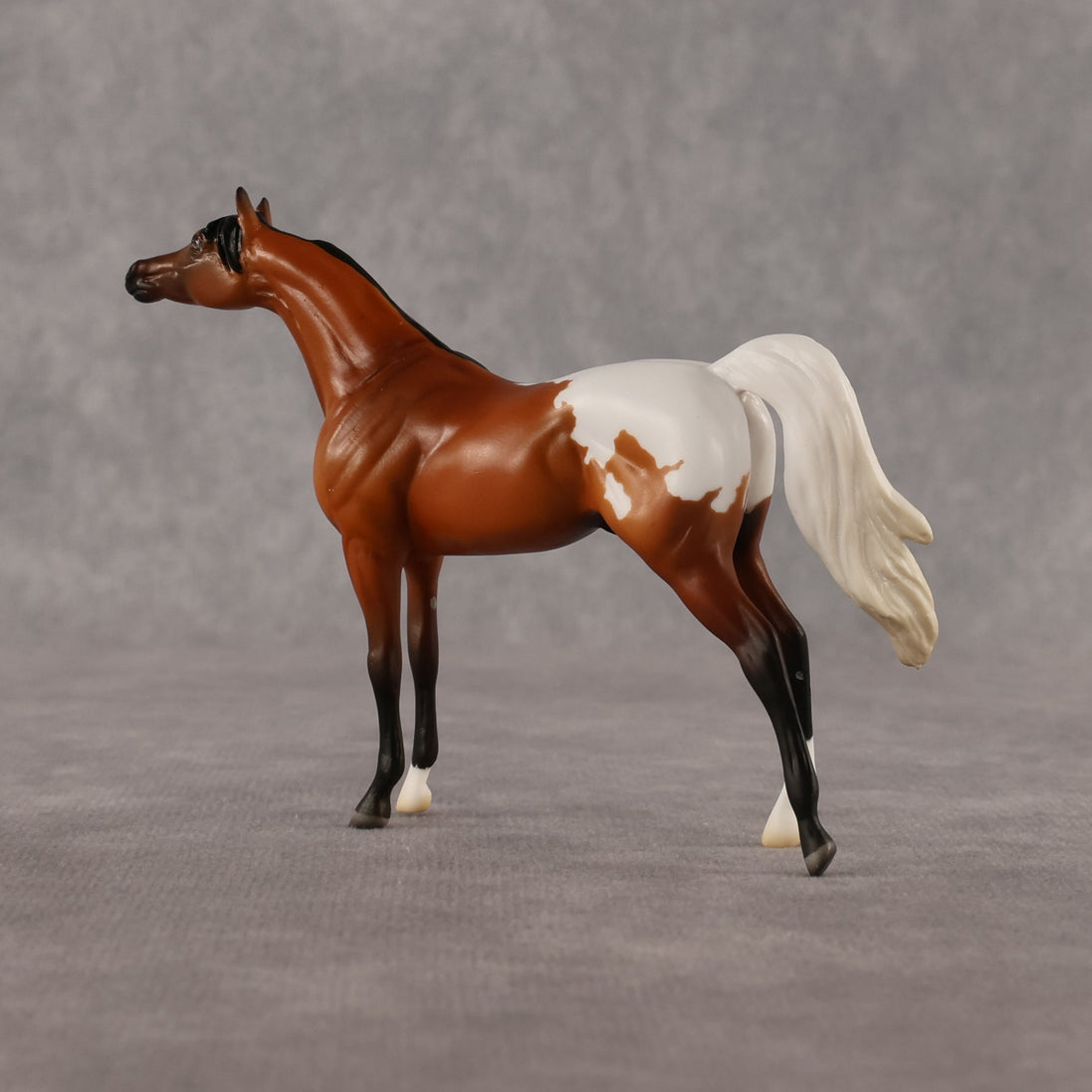 Alan OOAK Chip Arabian by Madi Wiseman LHS26