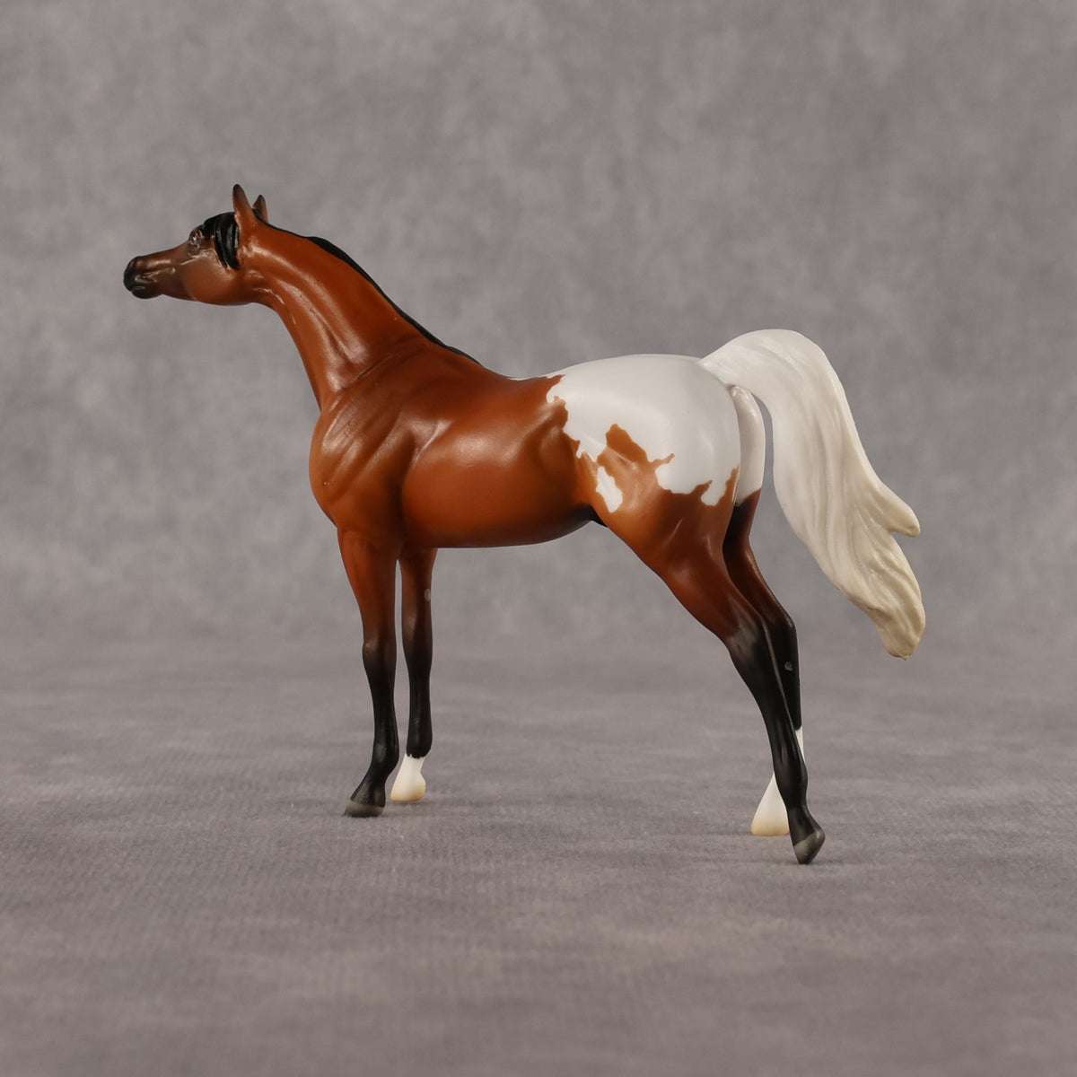 Alan OOAK Chip Arabian by Madi Wiseman LHS26