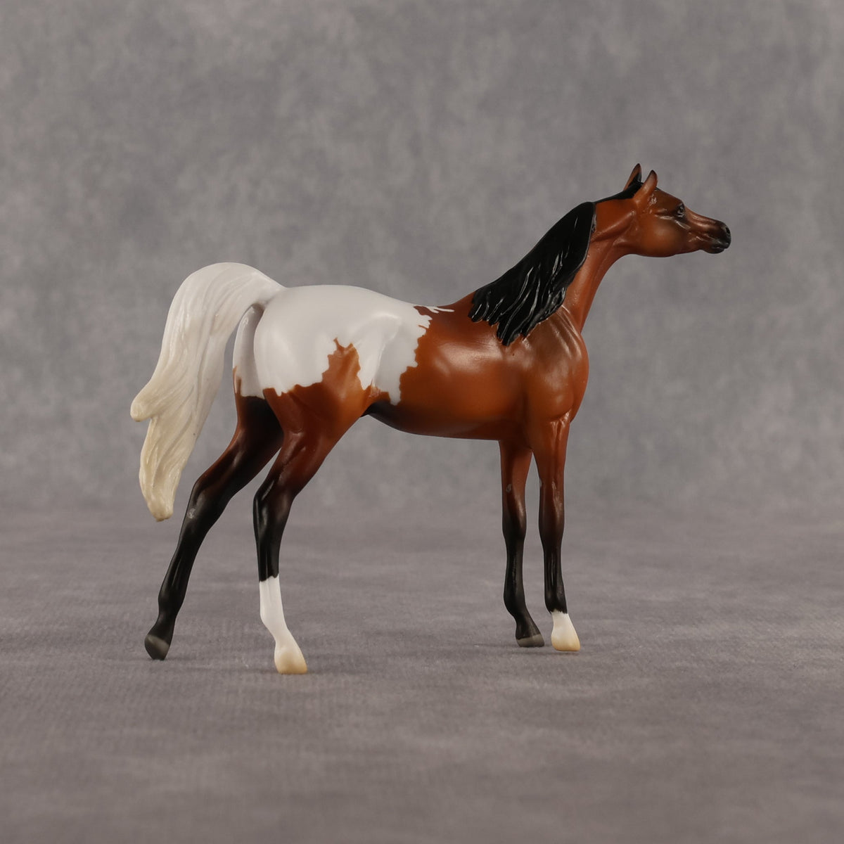 Alan OOAK Chip Arabian by Madi Wiseman LHS26