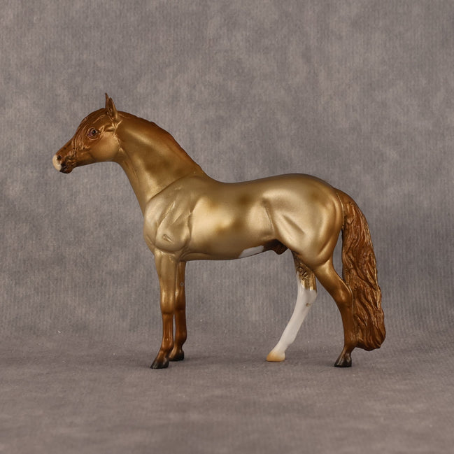Alazar OOAK Chip Andalusian by Anna Rieck LHS26
