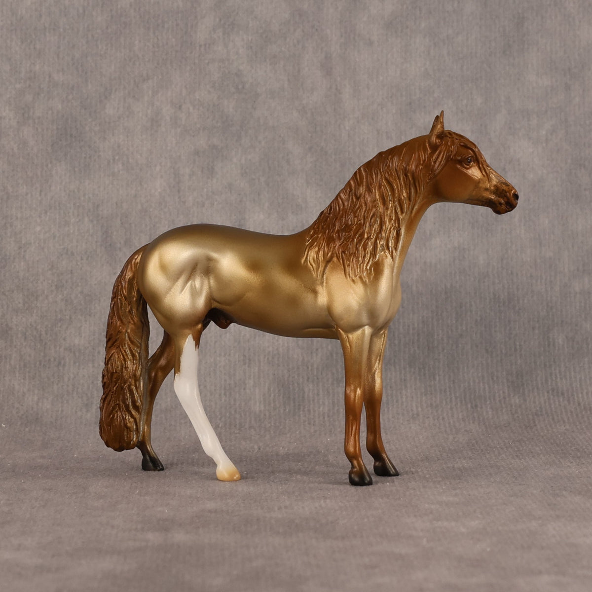 Alazar OOAK Chip Andalusian by Anna Rieck LHS26