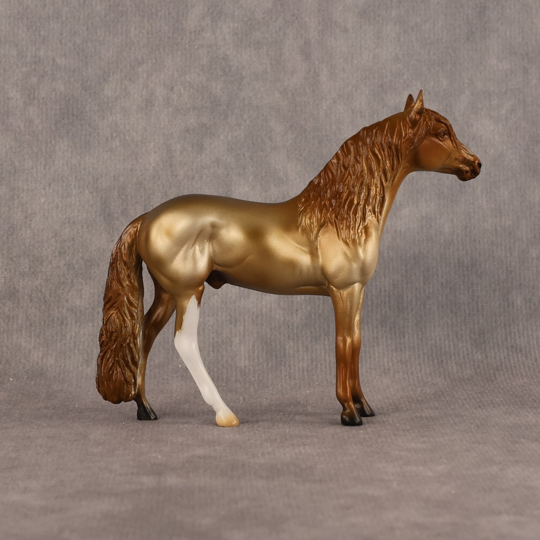 Alazar OOAK Chip Andalusian by Anna Rieck LHS26