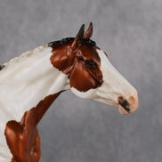 Alcott OOAK FCM Volo by Heather Bullach Best Offer 9.1.2026