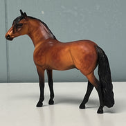 Alejandro Andalusian Red Bay Chip SAMPLE & OOAK SALE APRIL 2024 SS424