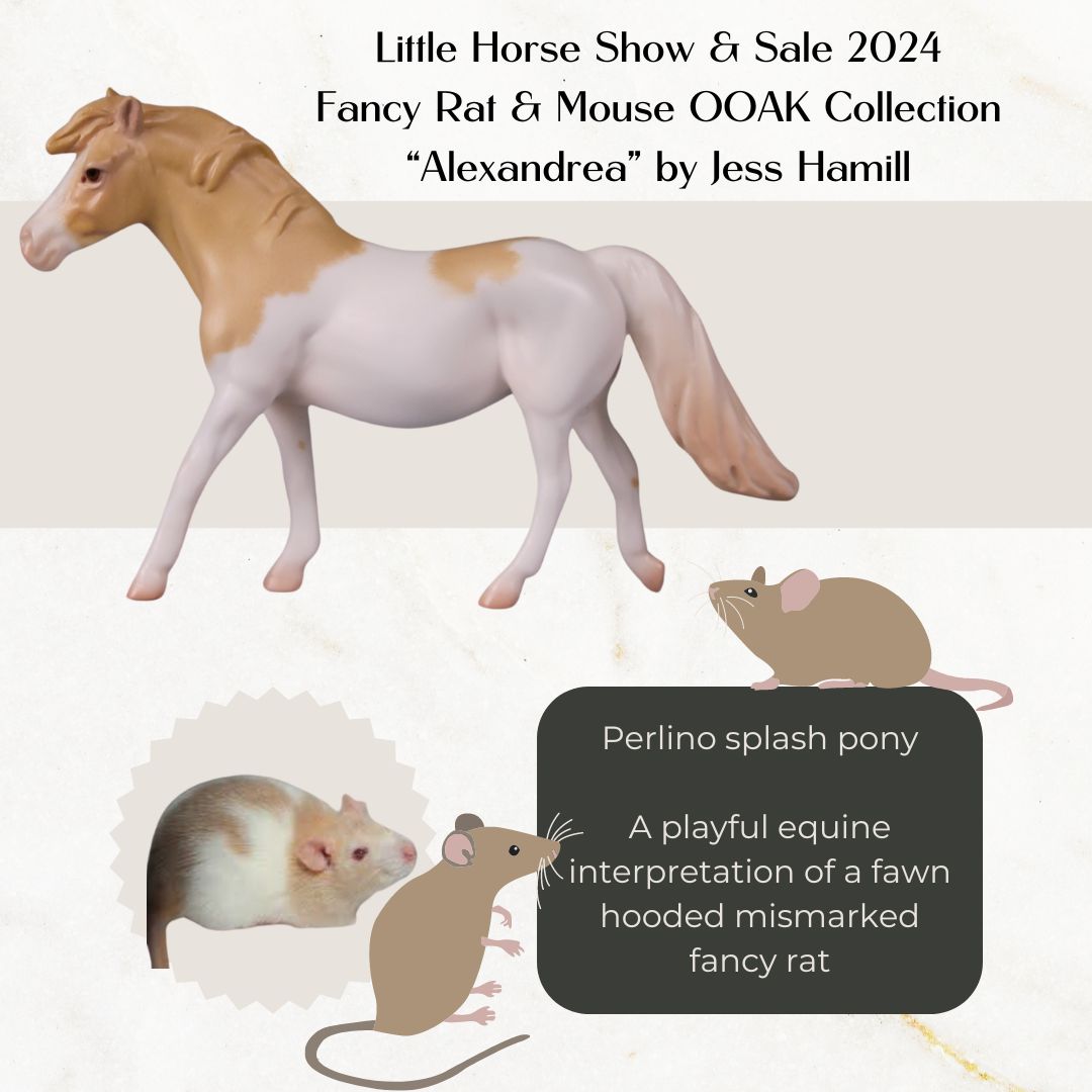 Alexandrea Limited Edition Rat Inspired Series of 15 OOAK Perlino Splash Pony Chip By Jess Hamill LHS24