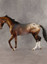 Allium OOAK Thoroughbred by Dawn Quick SHCF26
