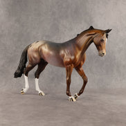 Allium OOAK Thoroughbred by Dawn Quick SHCF26
