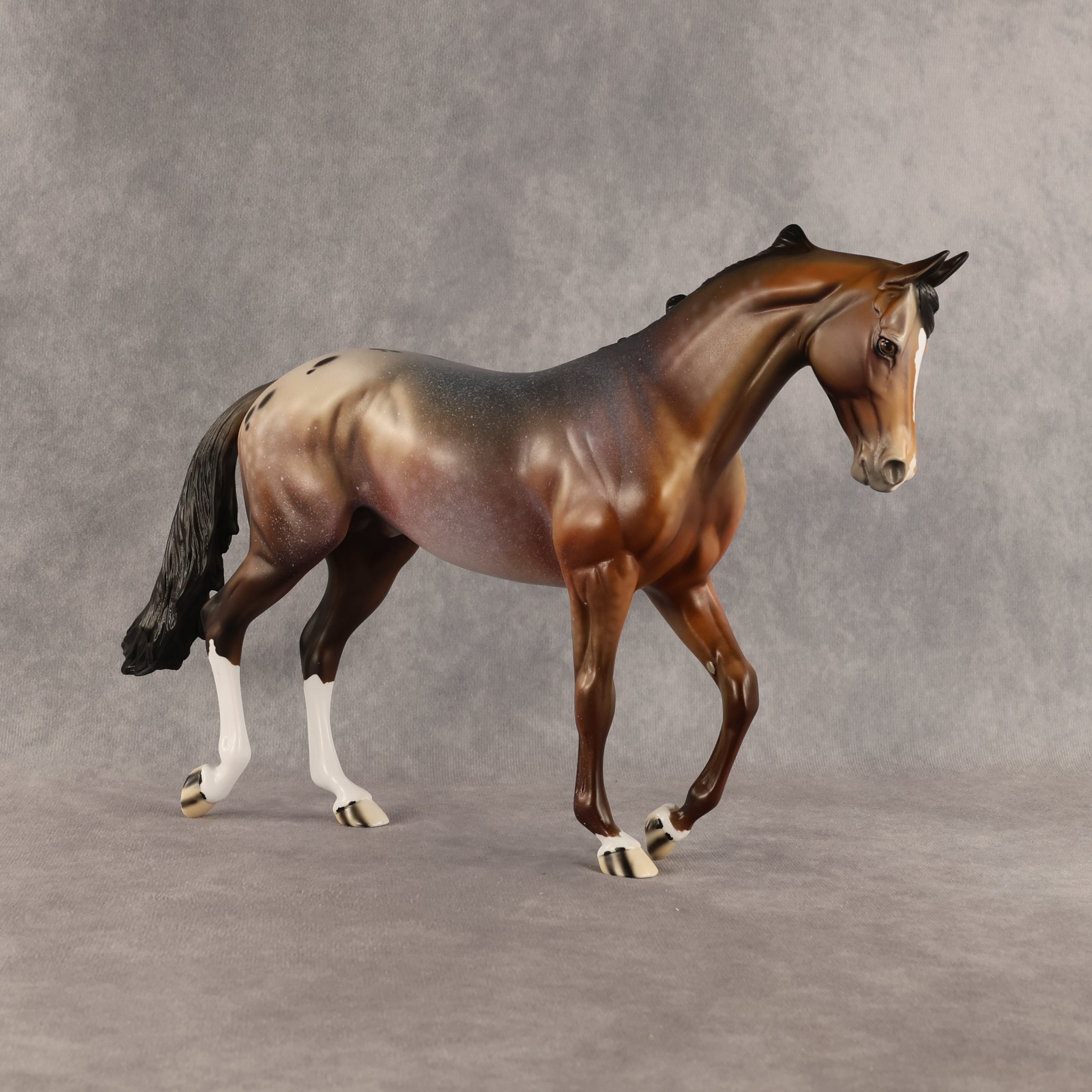 Allium OOAK Thoroughbred by Dawn Quick SHCF26