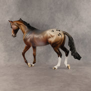 Allium OOAK Thoroughbred by Dawn Quick SHCF26