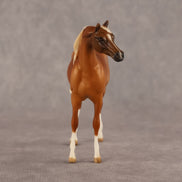 Amal OOAK EFCM Chip Arabian by Kristen Cermele GS26