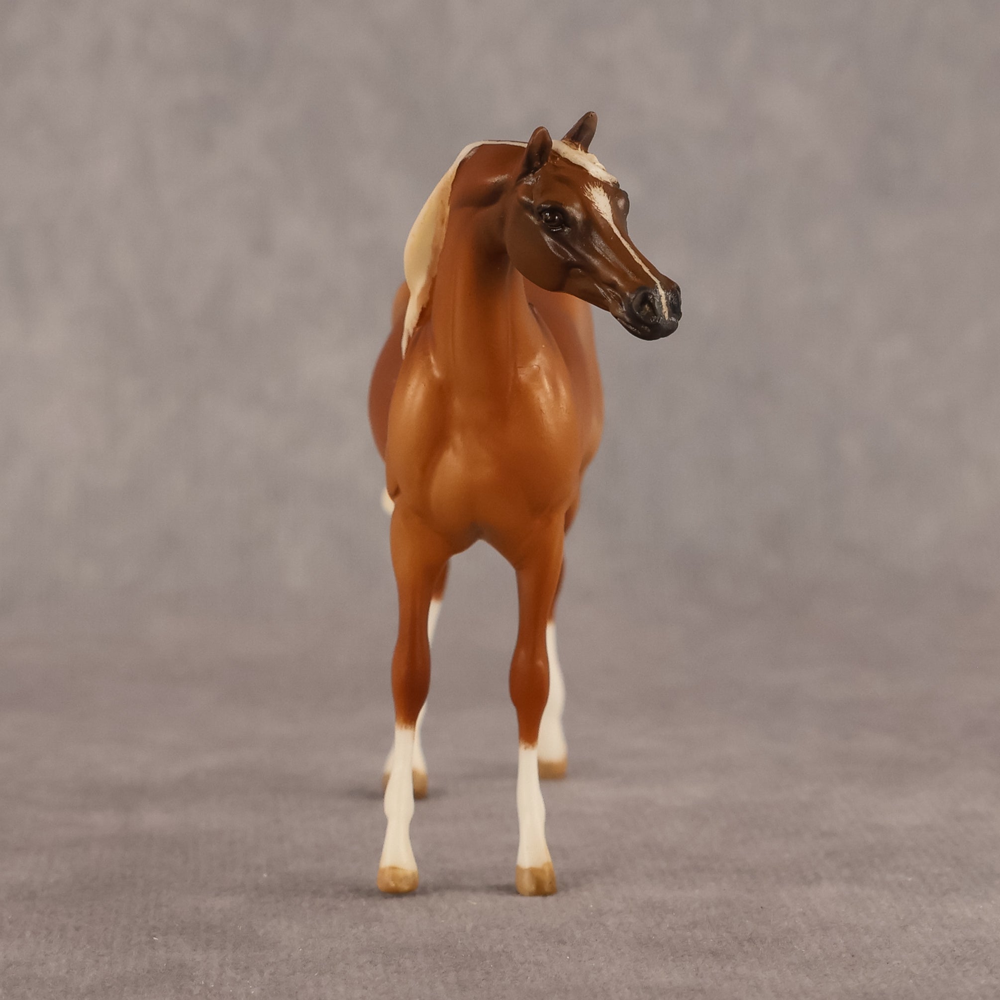 Amal OOAK EFCM Chip Arabian by Kristen Cermele GS26