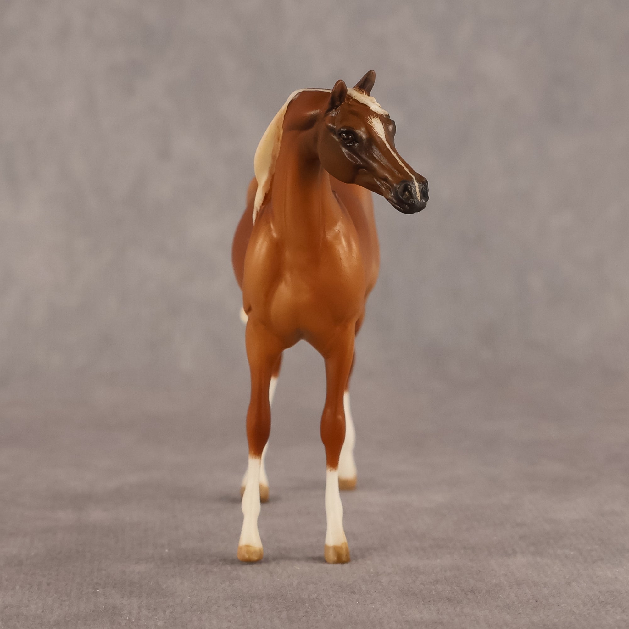 Amal OOAK EFCM Chip Arabian by Kristen Cermele GS26