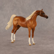 Amal OOAK EFCM Chip Arabian by Kristen Cermele GS26