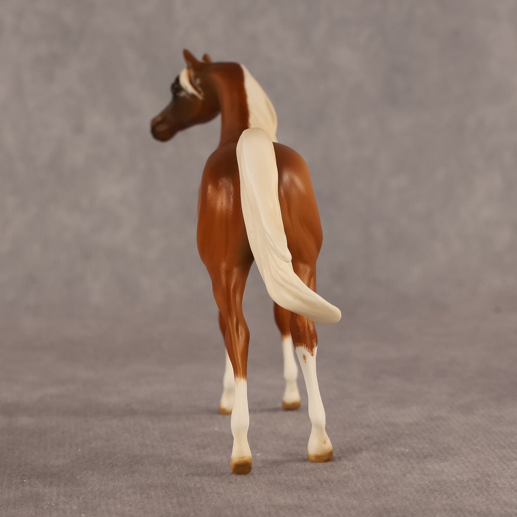 Amal OOAK EFCM Chip Arabian by Kristen Cermele GS26