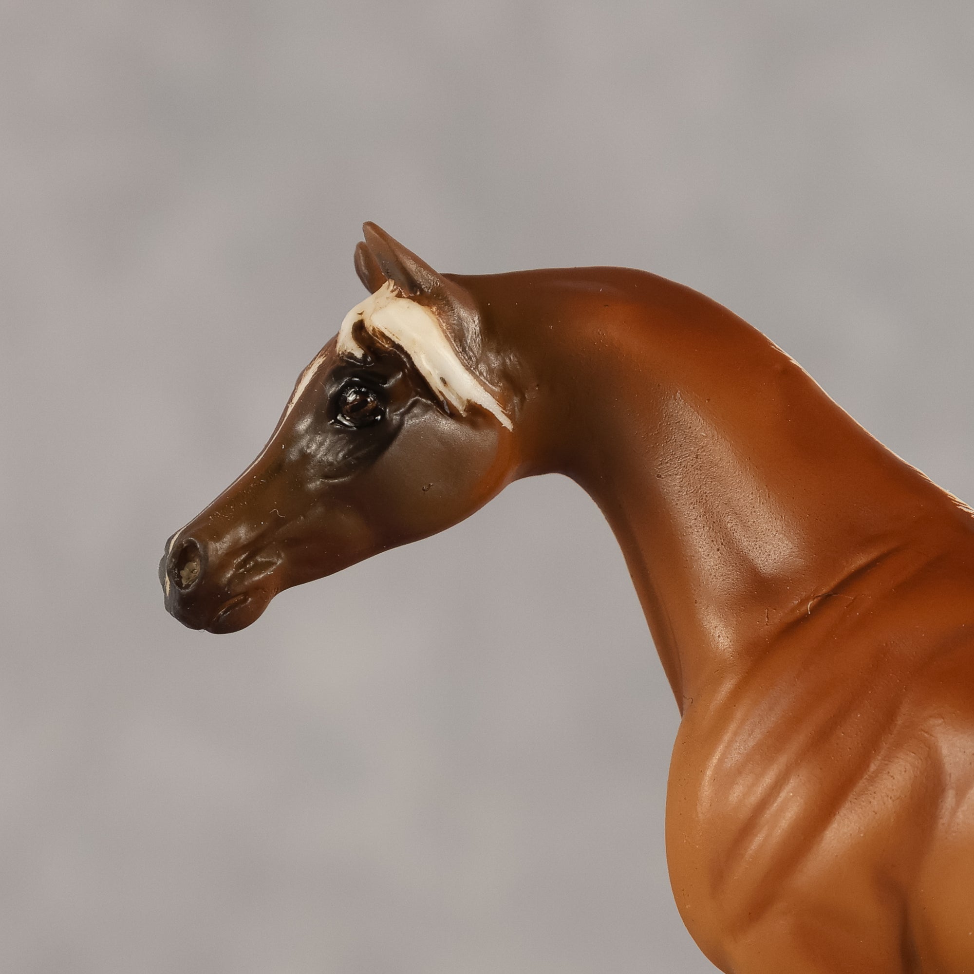 Amal OOAK EFCM Chip Arabian by Kristen Cermele GS26