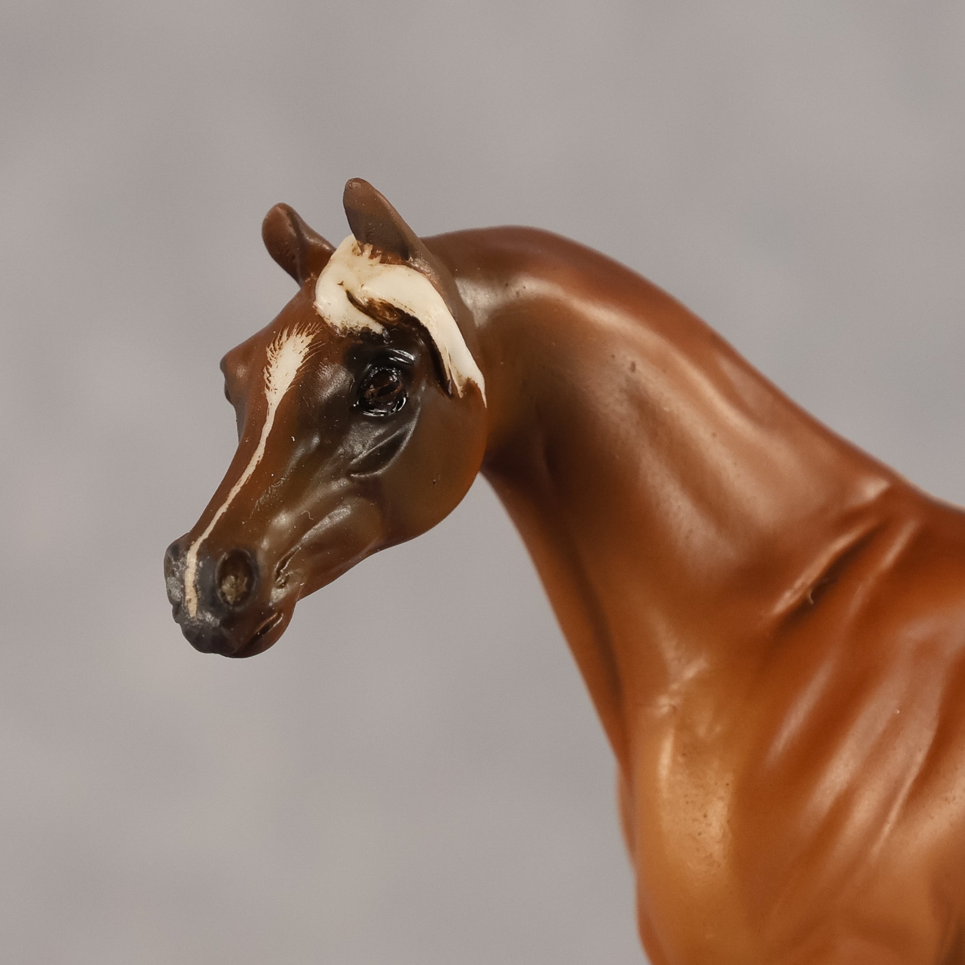 Amal OOAK EFCM Chip Arabian by Kristen Cermele GS26