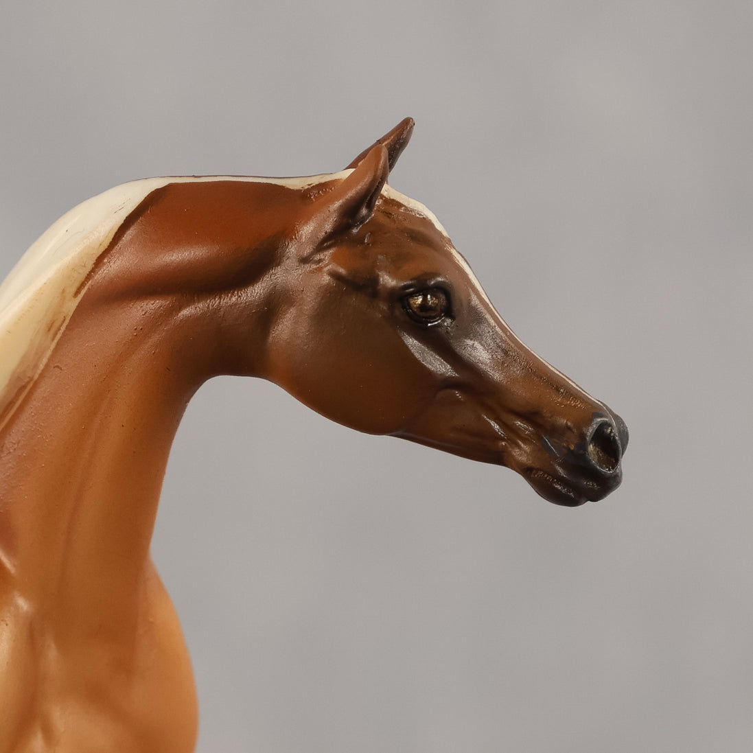 Amal OOAK EFCM Chip Arabian by Kristen Cermele GS26
