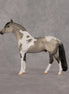 Amble OOAK Chip Andalusian by Dawn Quick LHS26