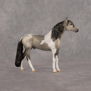 Amble OOAK Chip Andalusian by Dawn Quick LHS26