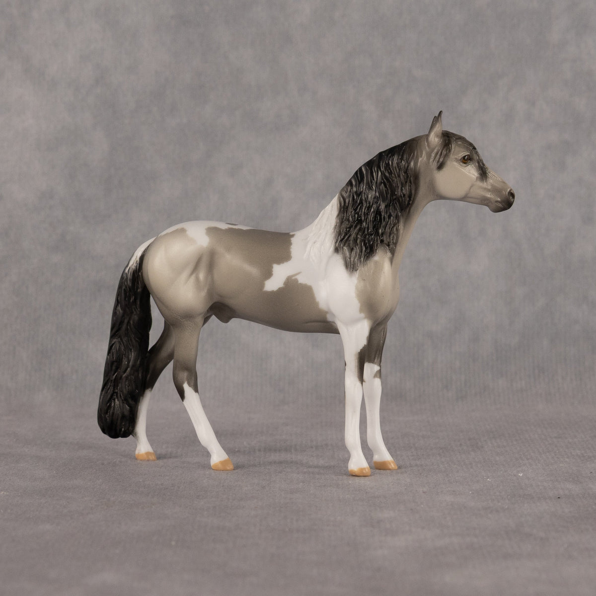 Amble OOAK Chip Andalusian by Dawn Quick LHS26
