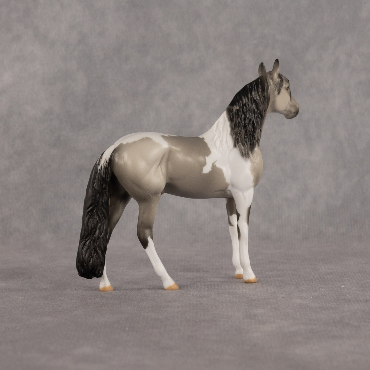 Amble OOAK Chip Andalusian by Dawn Quick LHS26